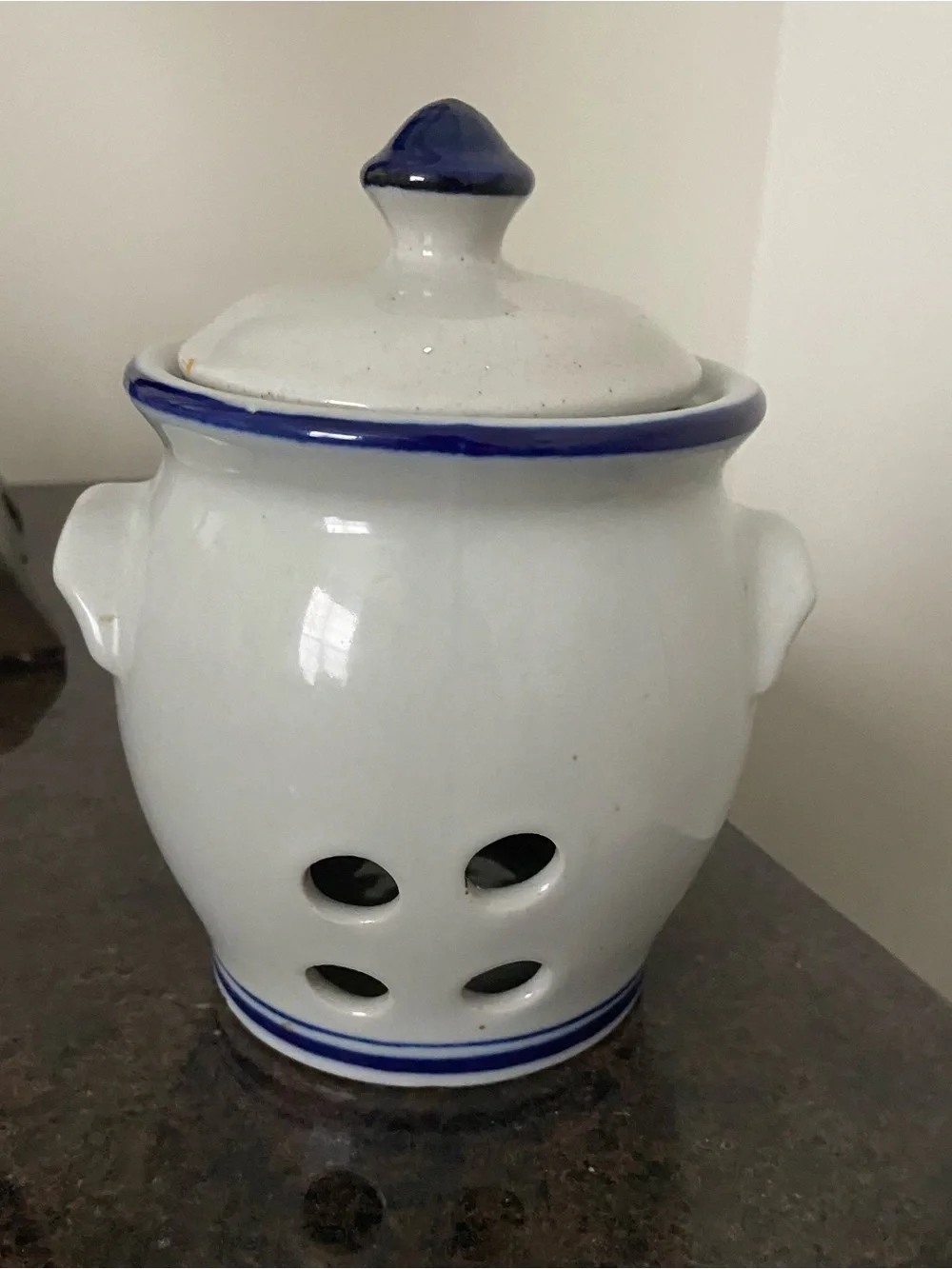 Source Unknown White Ceramic Garlic Keeper with Blue Trim